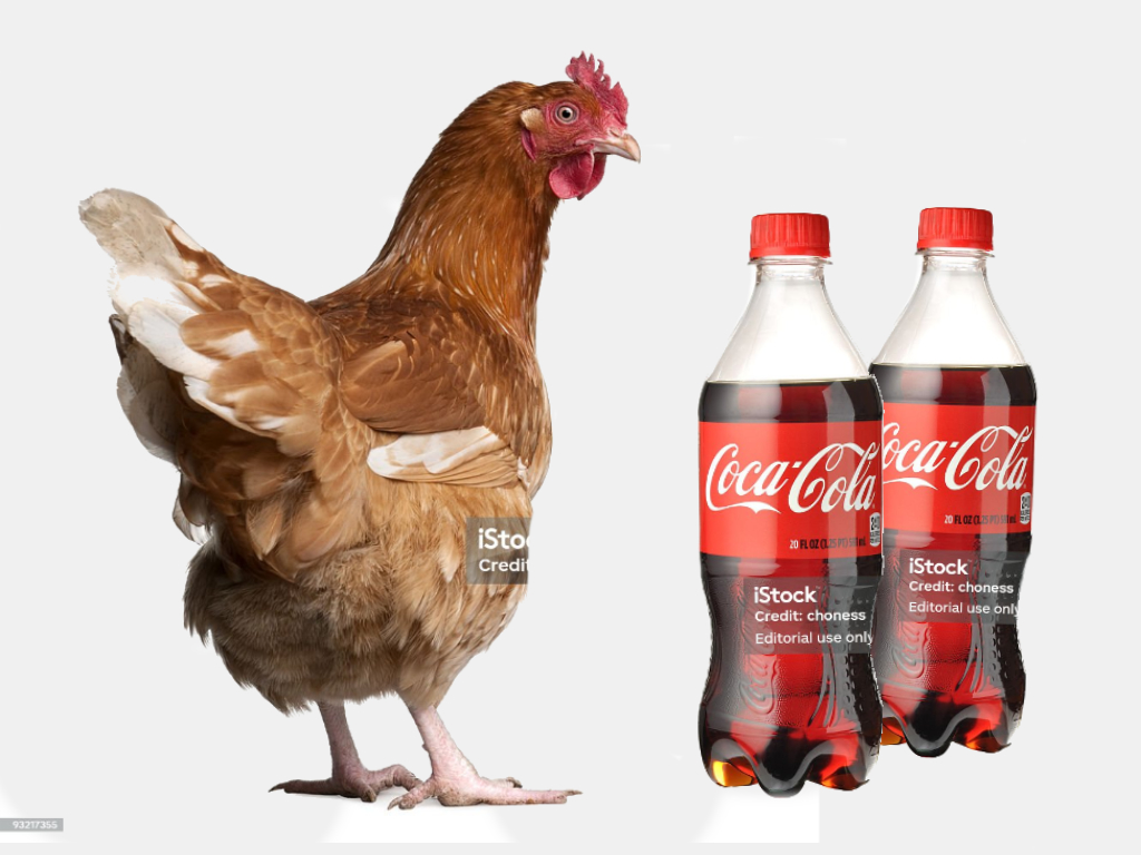 Chicken and two bottles of coke